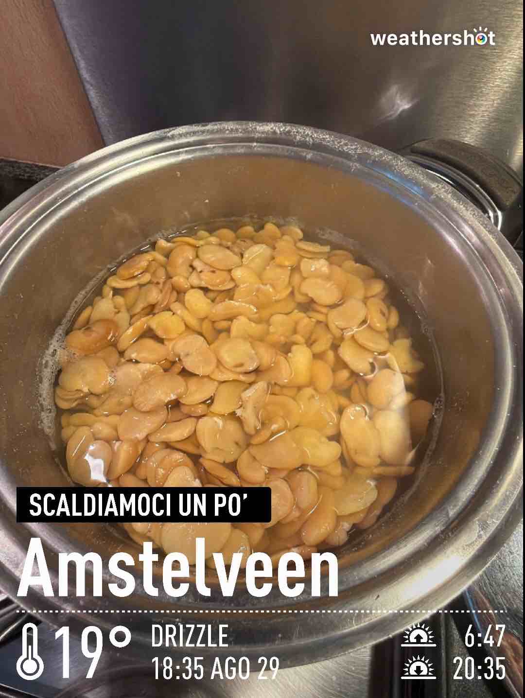 Rainy weather in Amstelveen, 19°C — August 29, 2026 (community photo)