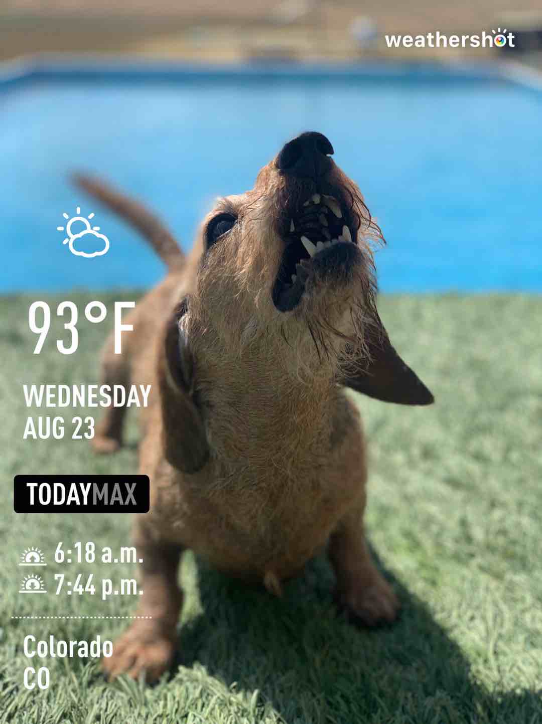 Partly cloudy weather in Brighton, 88°F — August 23, 2023 (community photo)