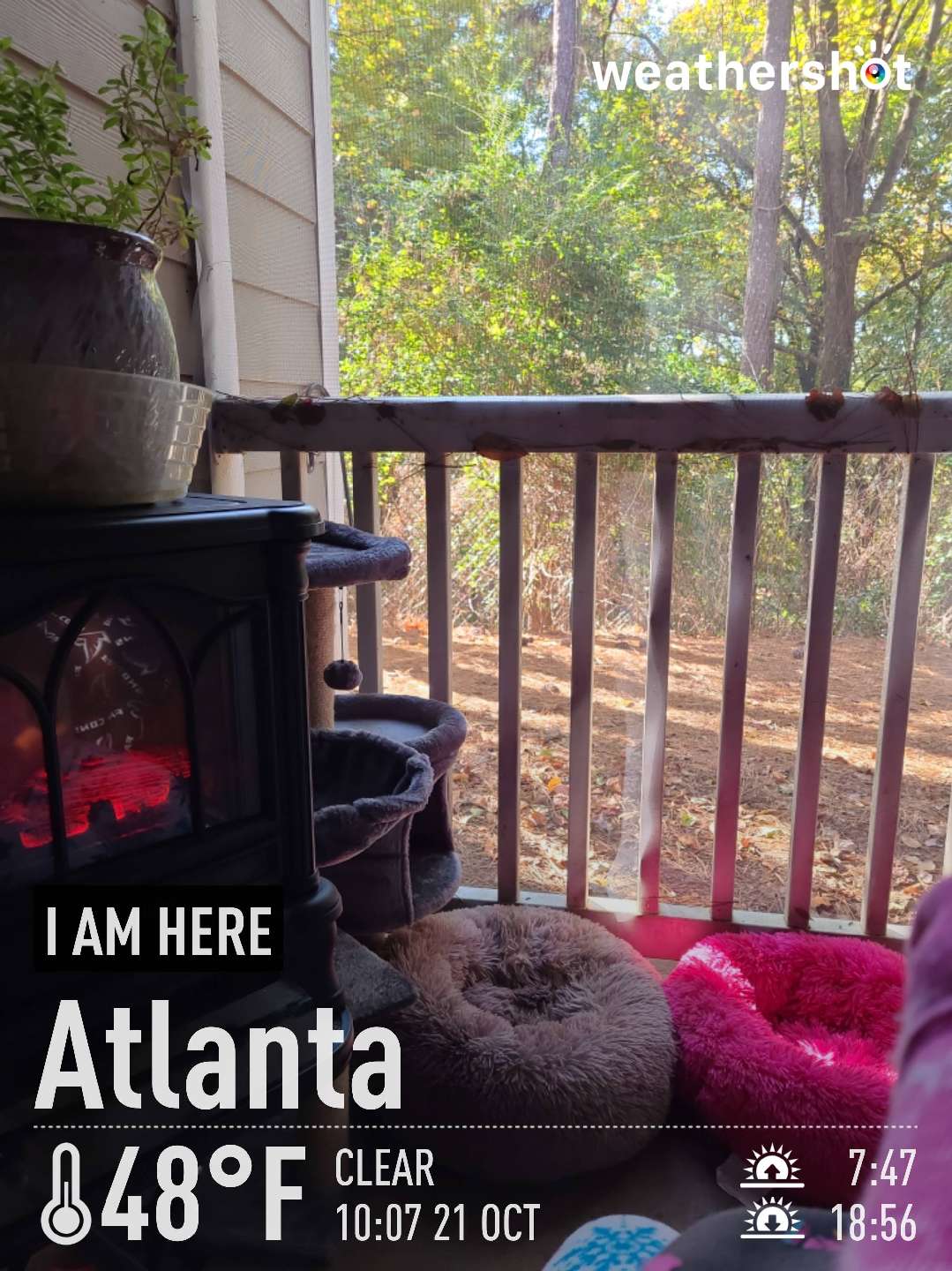 Sunny weather in Atlanta, 48°F — October 21, 2022 (community photo)