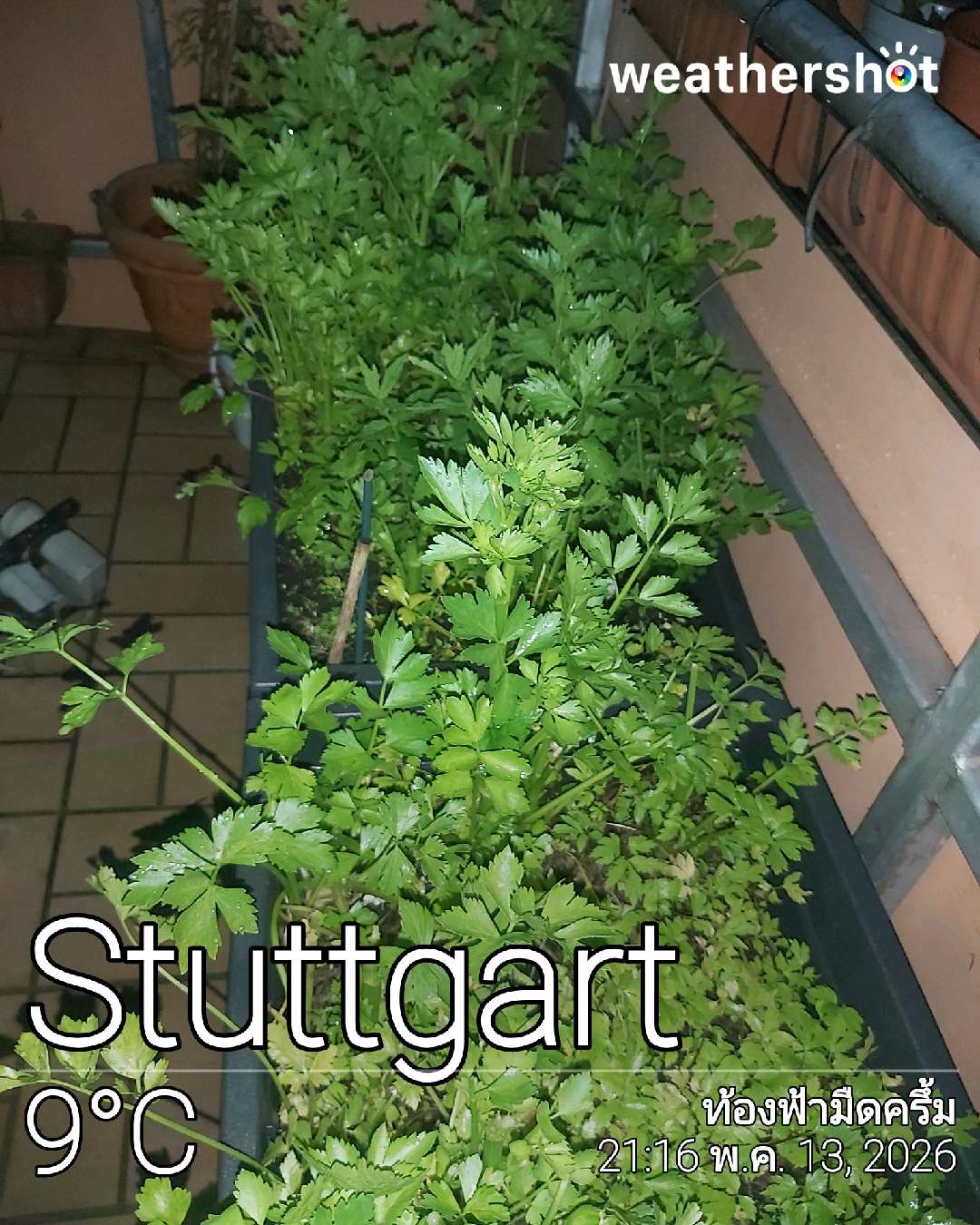 Cloudy night weather in Stuttgart, 9°C — May 13, 2026 (community photo)