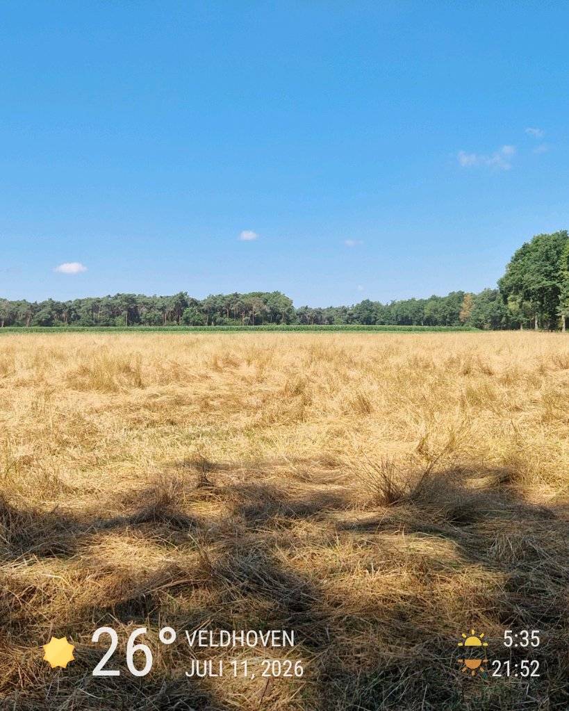Sunny weather in Veldhoven, 26°C — July 11, 2026 (community photo)