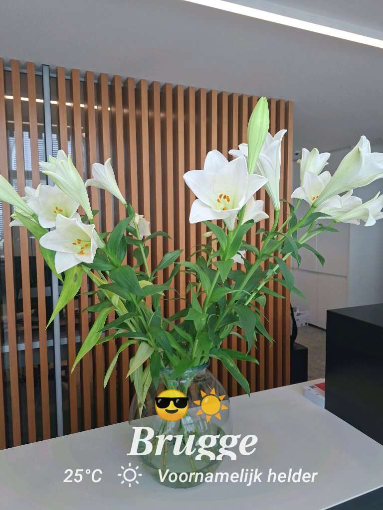 Clear weather in Brugge, 25°C — September 19, 2025 (community photo)