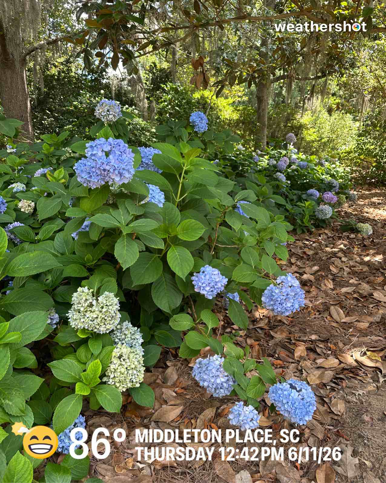 Partly cloudy weather in Charleston, 86°F — June 11, 2026 (community photo)