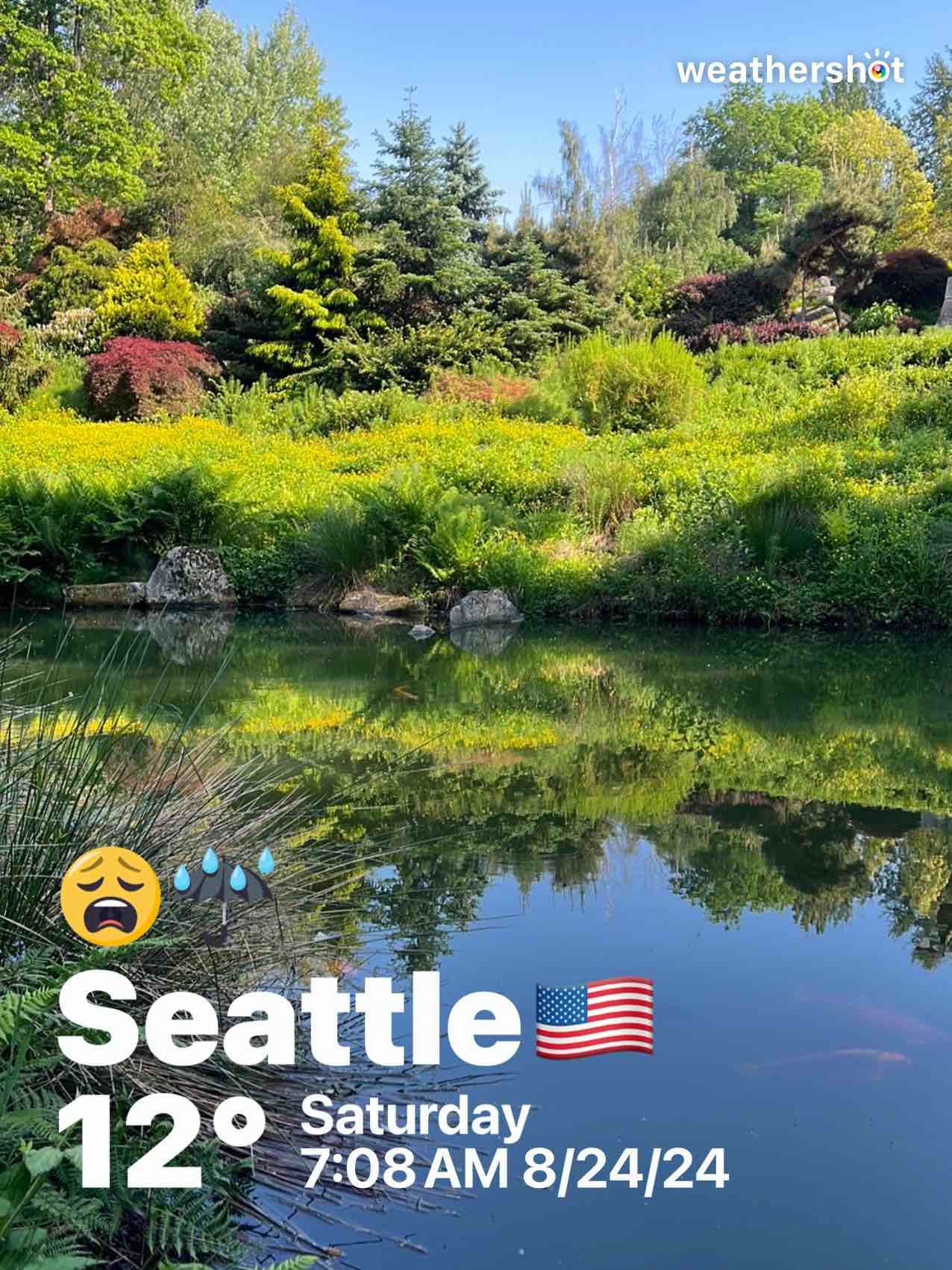 Rainy weather in Seattle, 54°F — August 24, 2024 (community photo)
