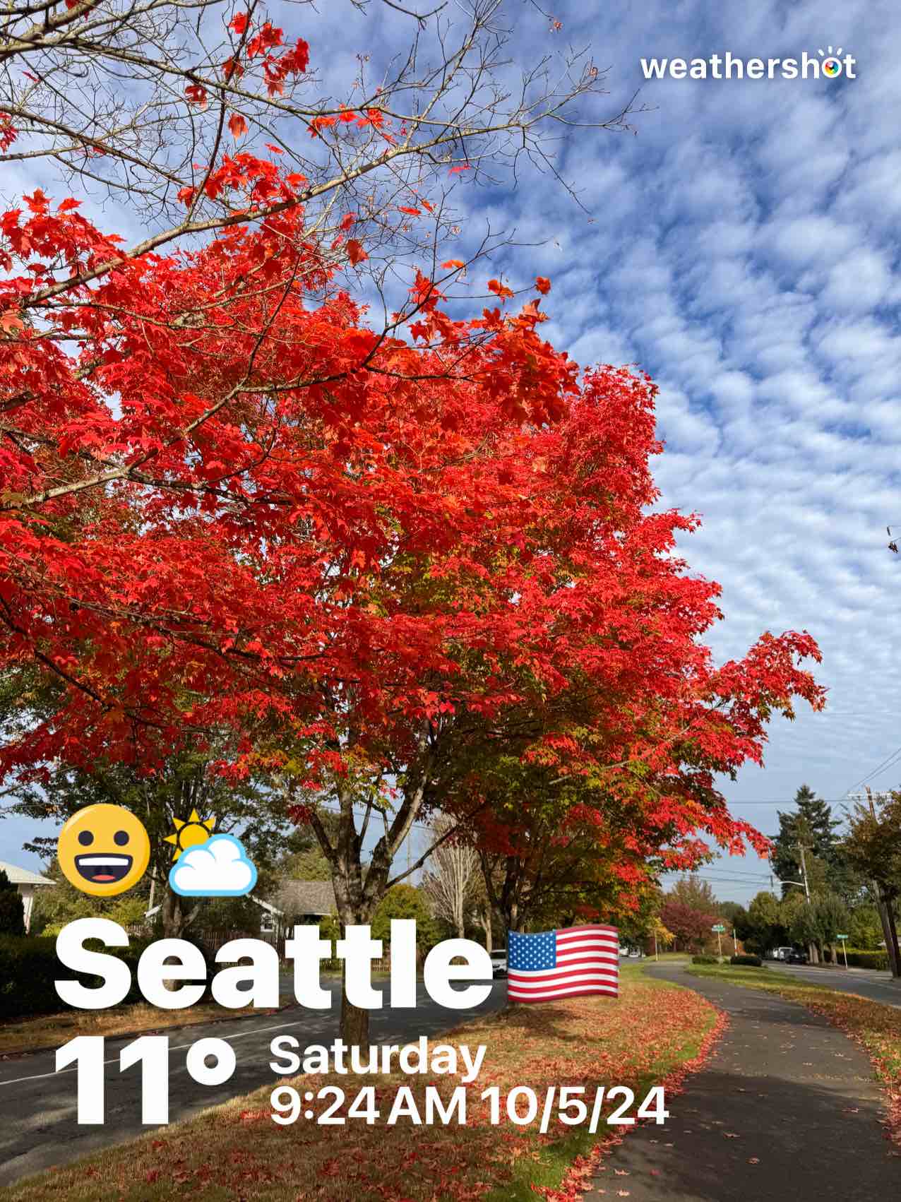 Partly cloudy weather in Seattle, 52°F — October 5, 2024 (community photo)
