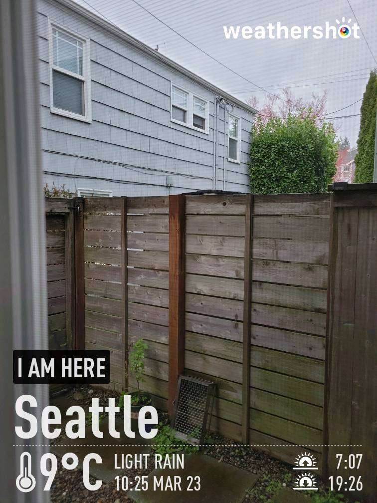 Rainy weather in Seattle, 48°F — March 23, 2024 (community photo)