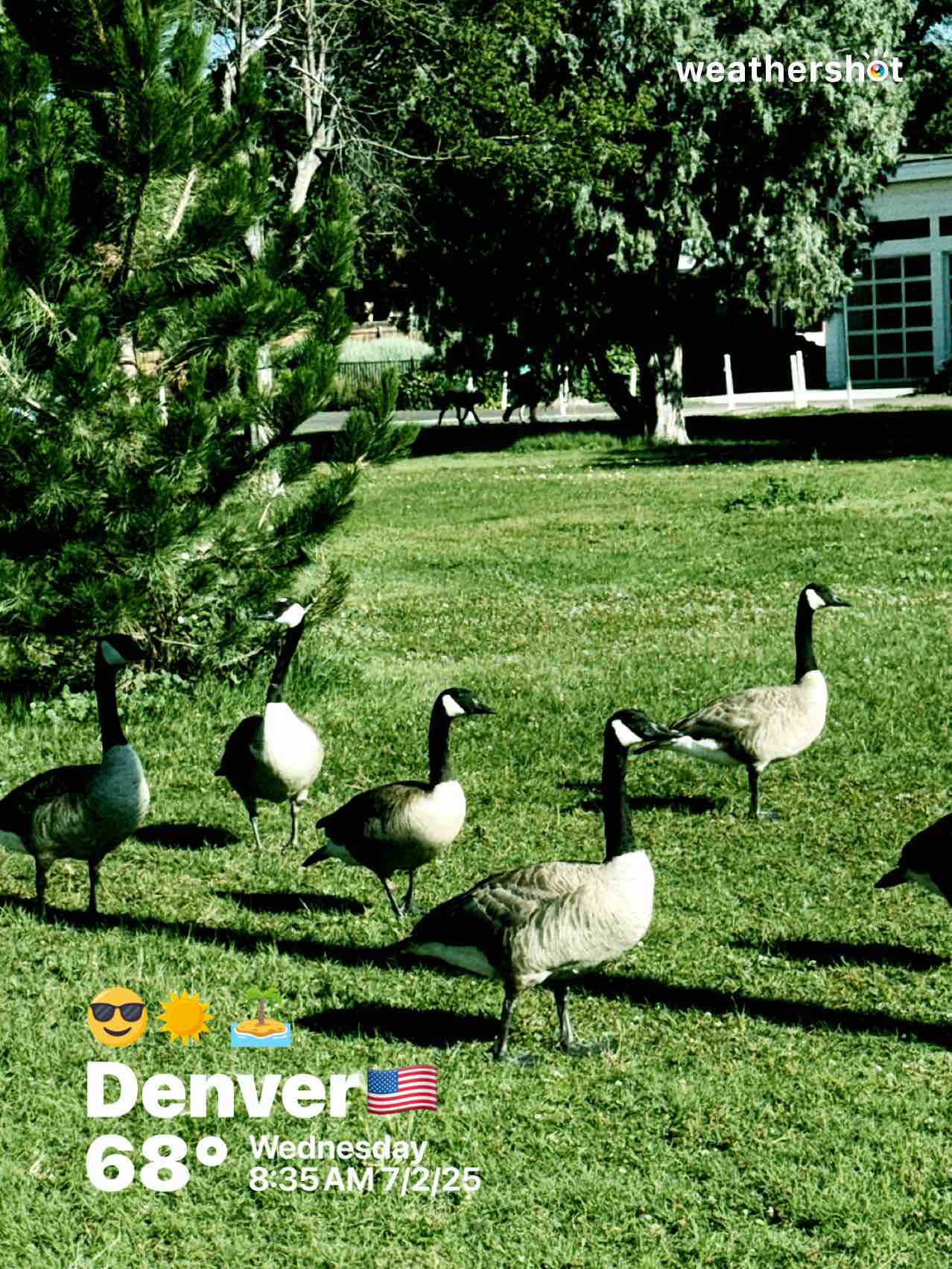 Weather photo from Denver