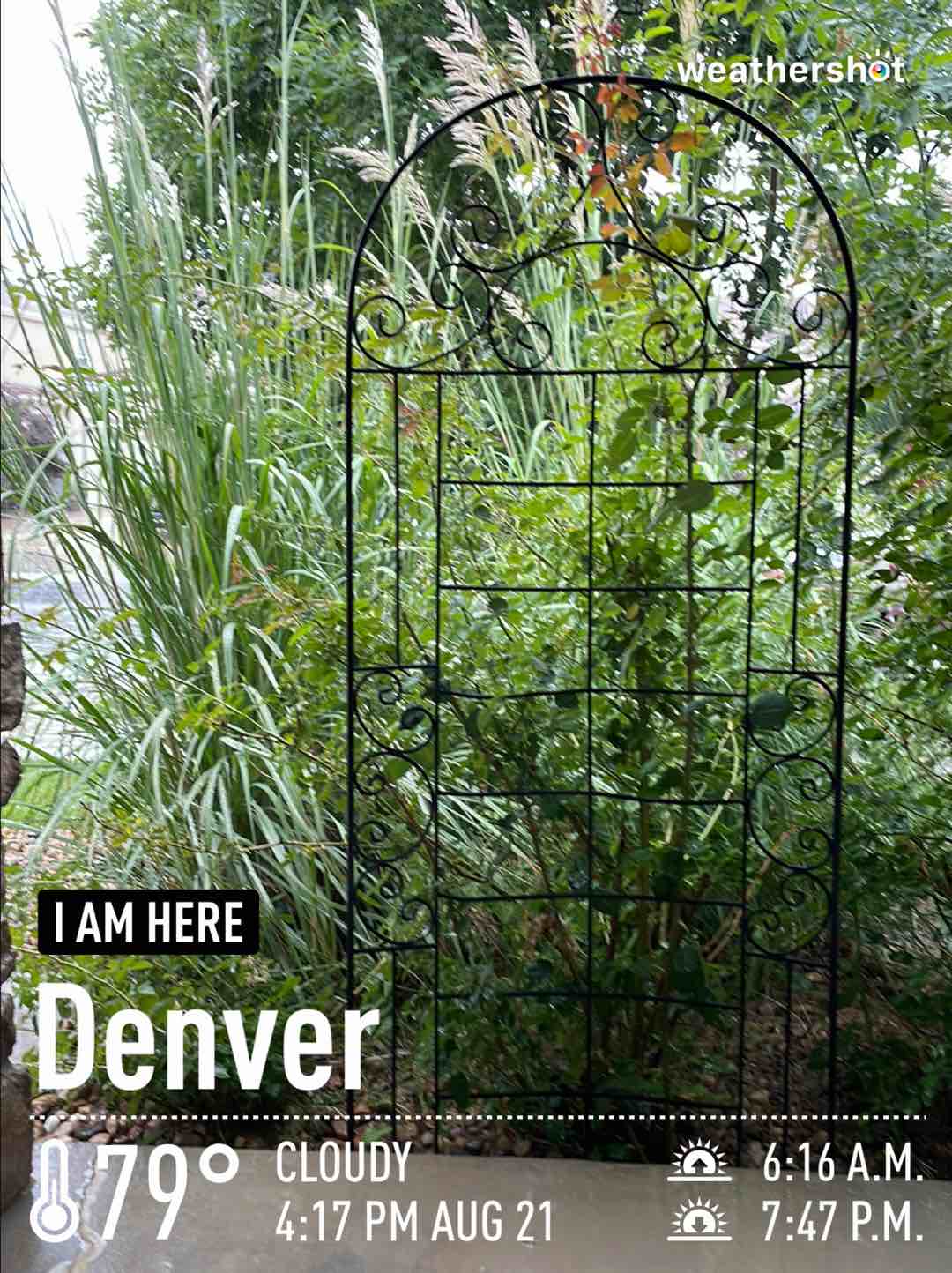Cloudy weather in Denver, 79°F — August 21, 2022 (community photo)