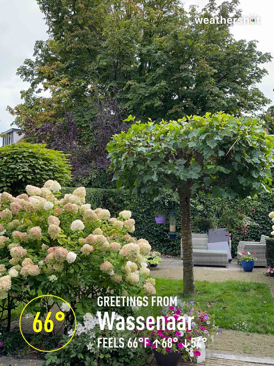 Cloudy weather in Wassenaar, 19°C — September 2, 2021 (community photo)