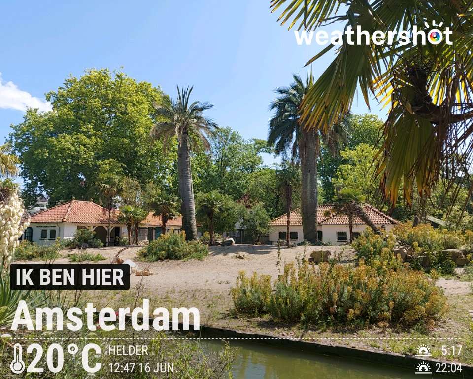 Sunny weather in Amsterdam, 20°C — June 16, 2026 (community photo)