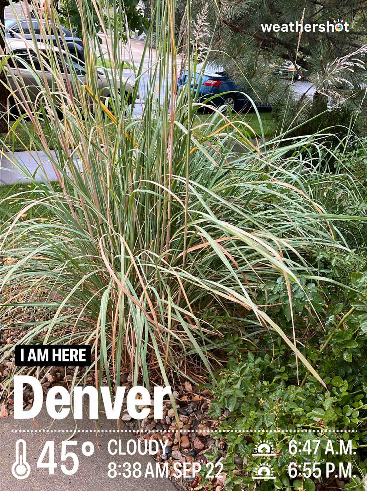 Weather photo from Denver