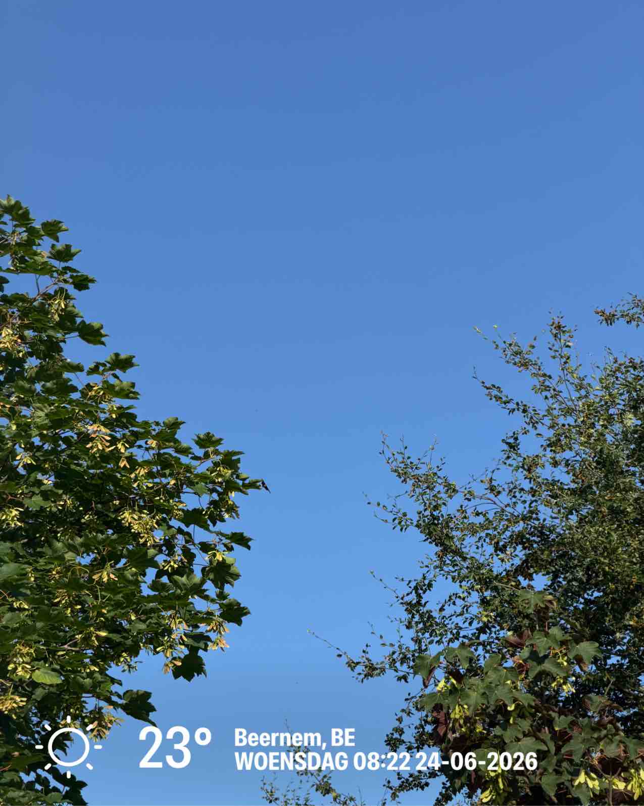 Clear weather in Beernem, 23°C — June 24, 2026 (community photo)