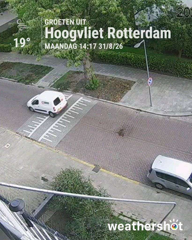 Weather in Hoogvliet Rotterdam, 19°C — August 31, 2026 (community photo)