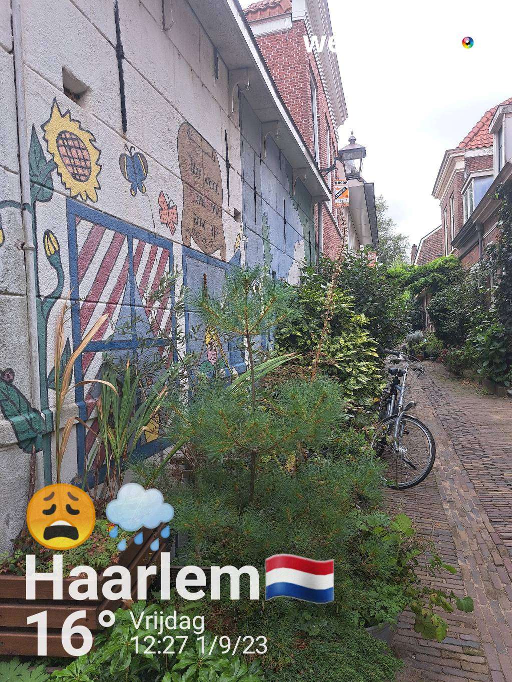 Rainy weather in Haarlem, 16°C — September 1, 2023 (community photo)