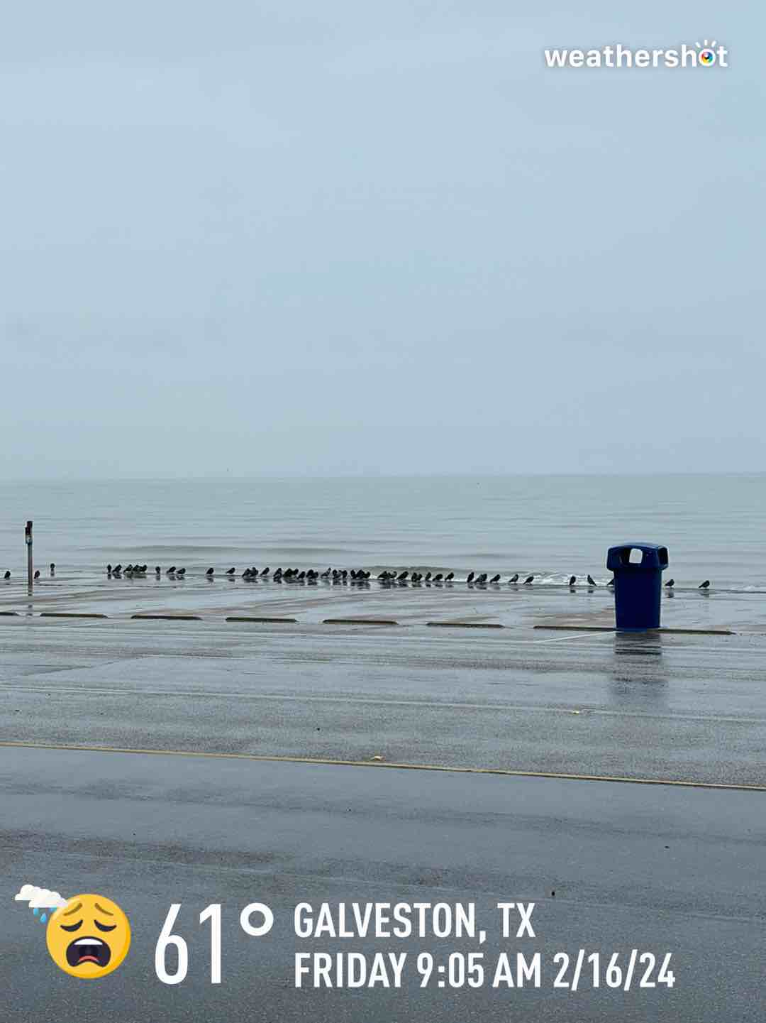 Rainy weather in Galveston, 61°F — February 16, 2024 (community photo)