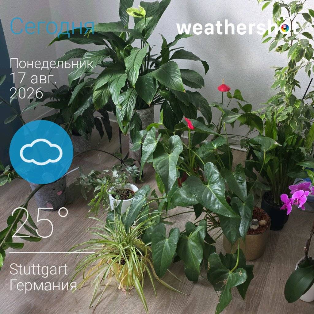 Cloudy weather in Stuttgart, 25°C — August 17, 2026 (community photo)