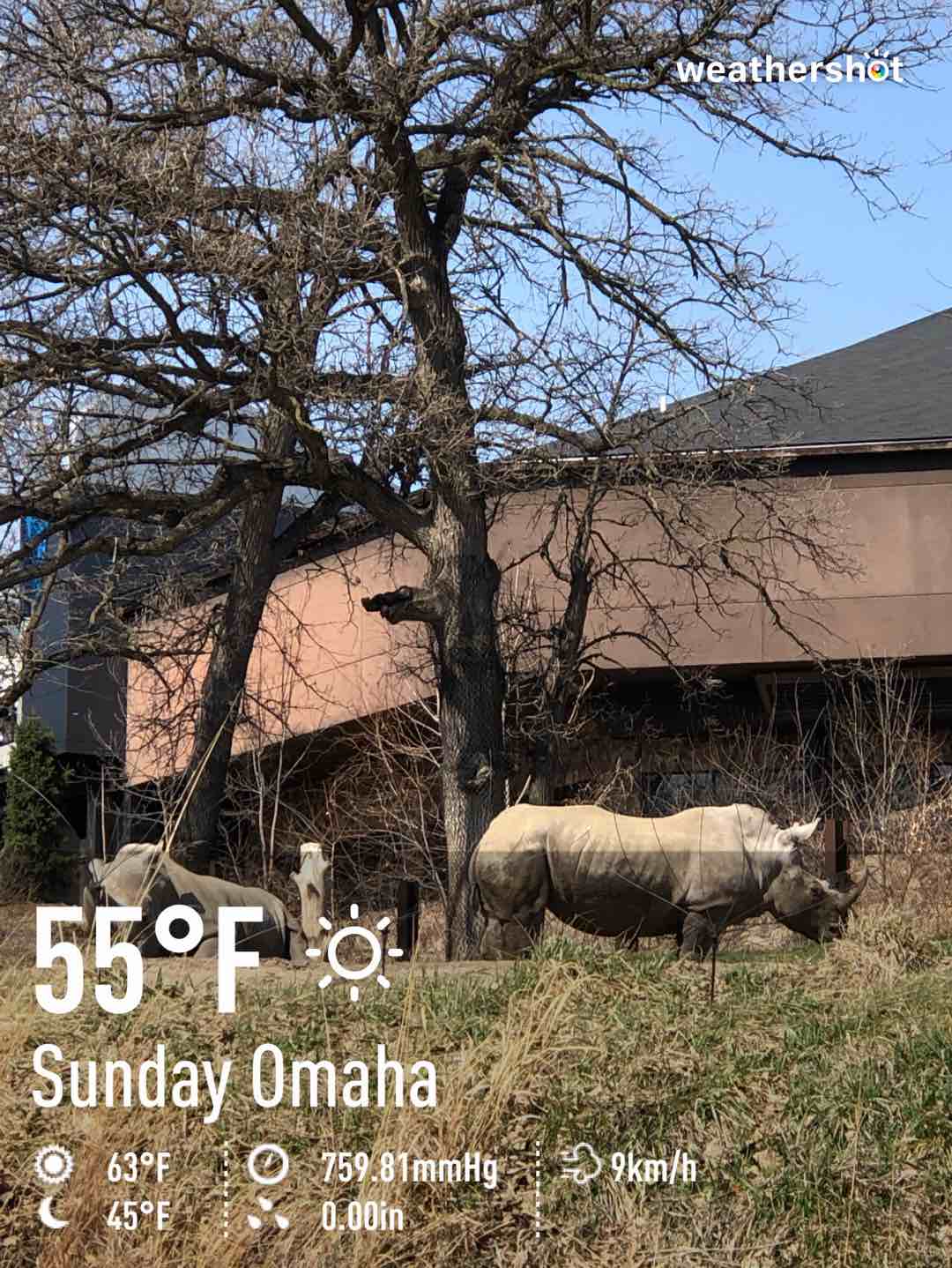 Clear weather in Omaha, 55°F — March 21, 2021 (community photo)