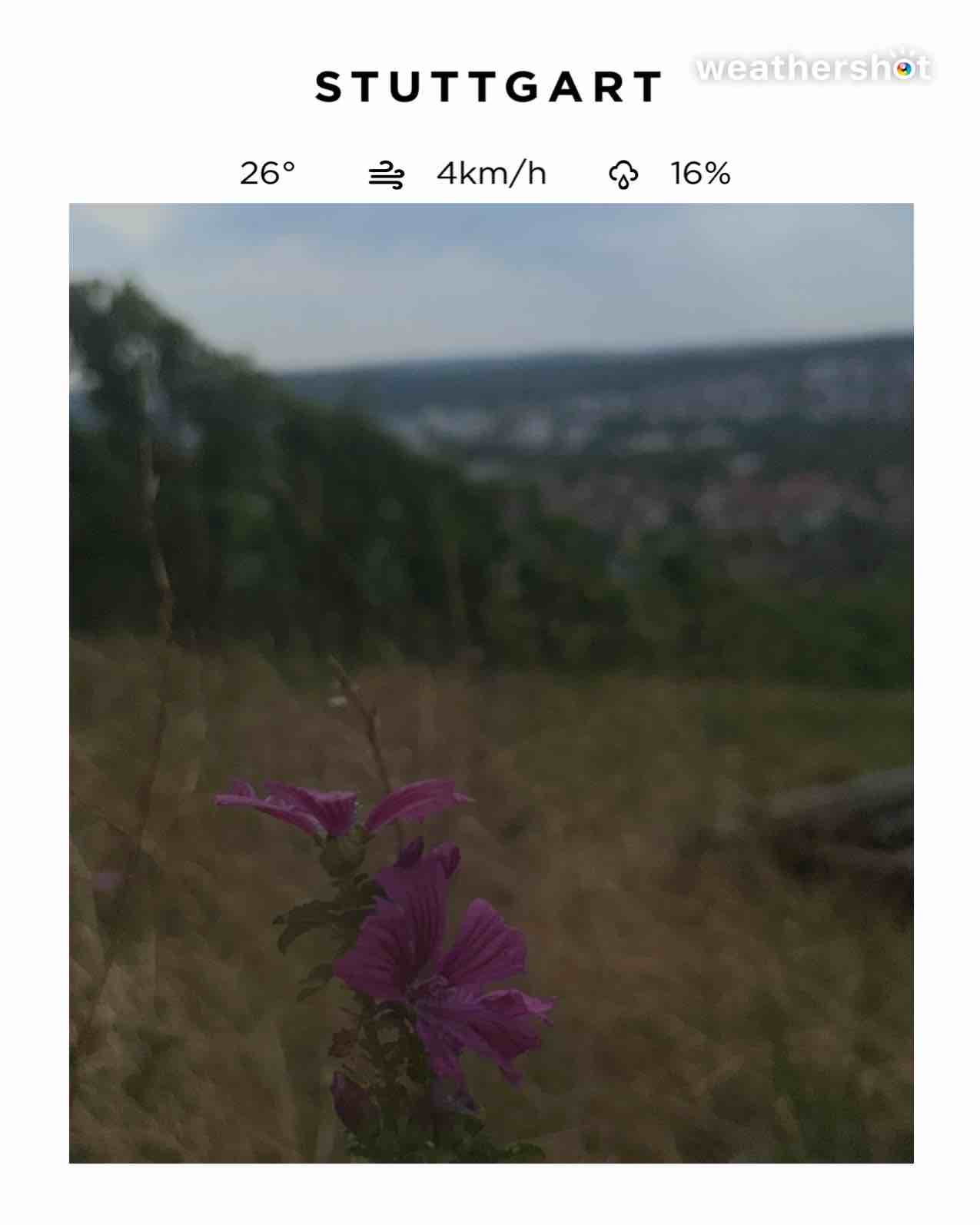 Weather in Stuttgart, 26°C — August 3, 2026 (community photo)