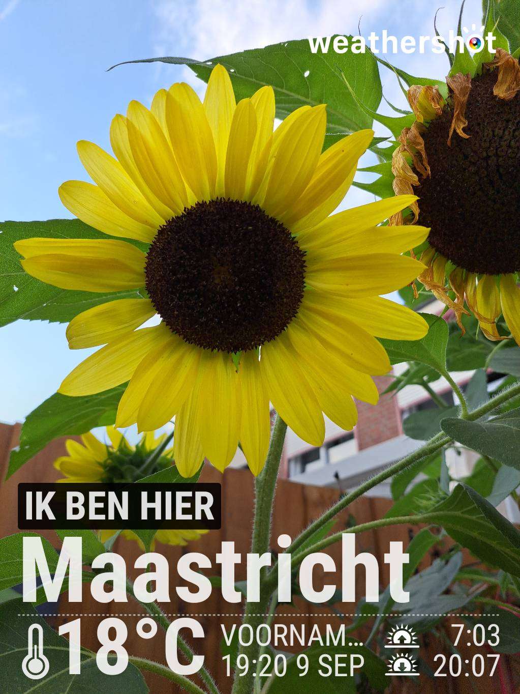 Clear weather in Maastricht, 18°C — September 9, 2024 (community photo)