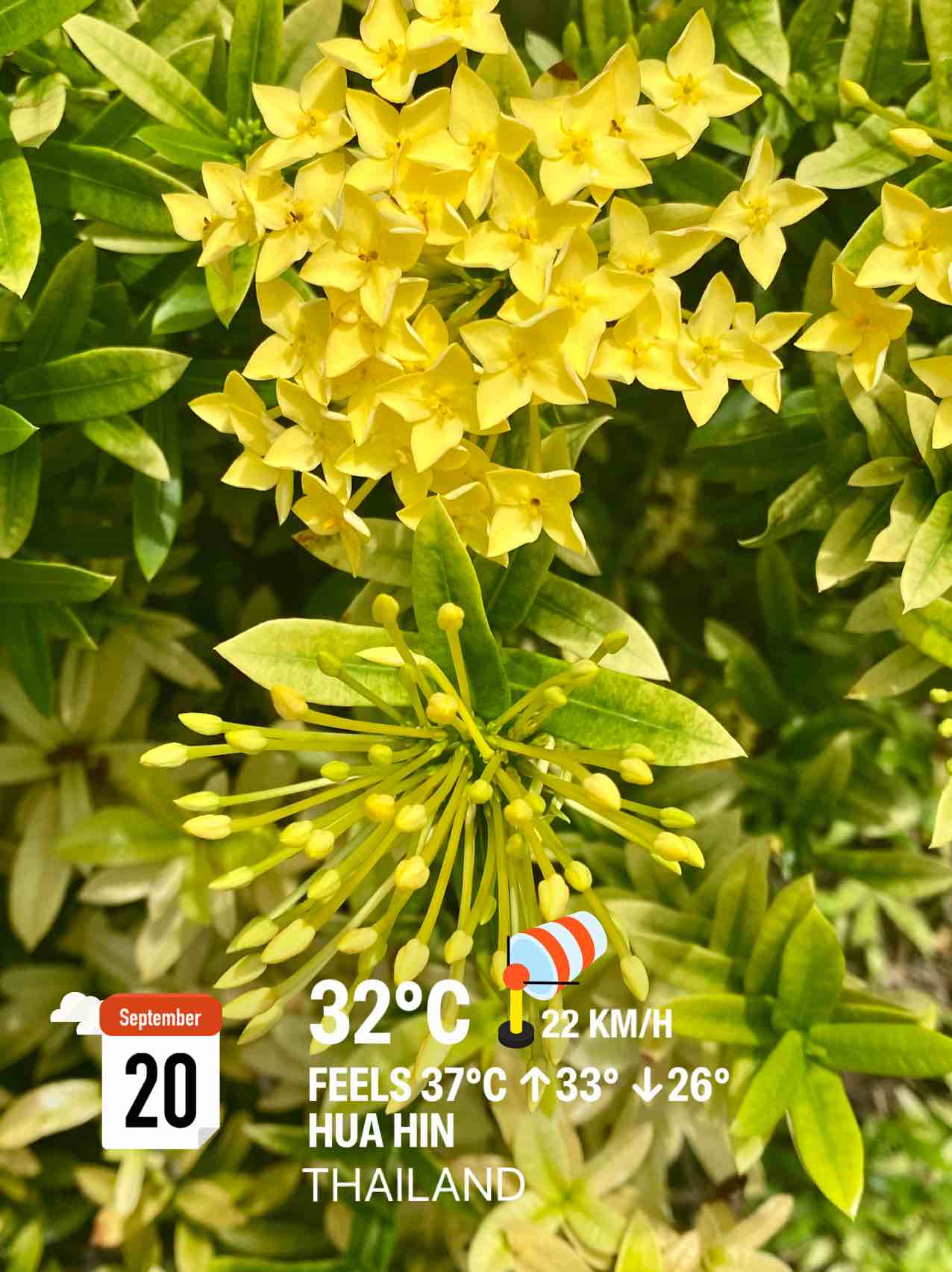 Cloudy weather in Tambon Hin Lek Fai, 32°C — September 20, 2024 (community photo)