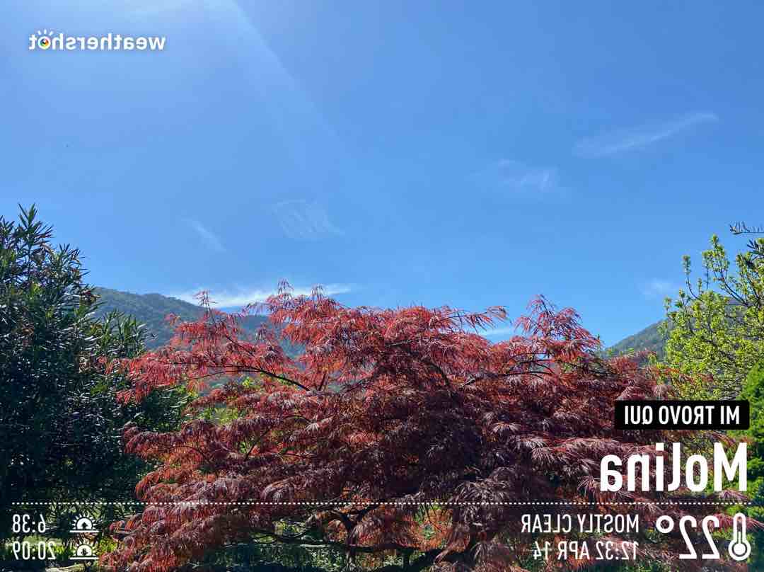 Weather in Molina, 22°C — April 14, 2024 (community photo)