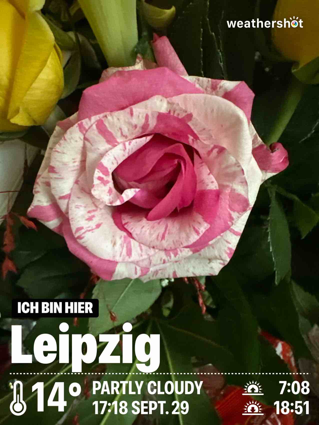 Weather in Leipzig, 14°C — September 29, 2024 (community photo)