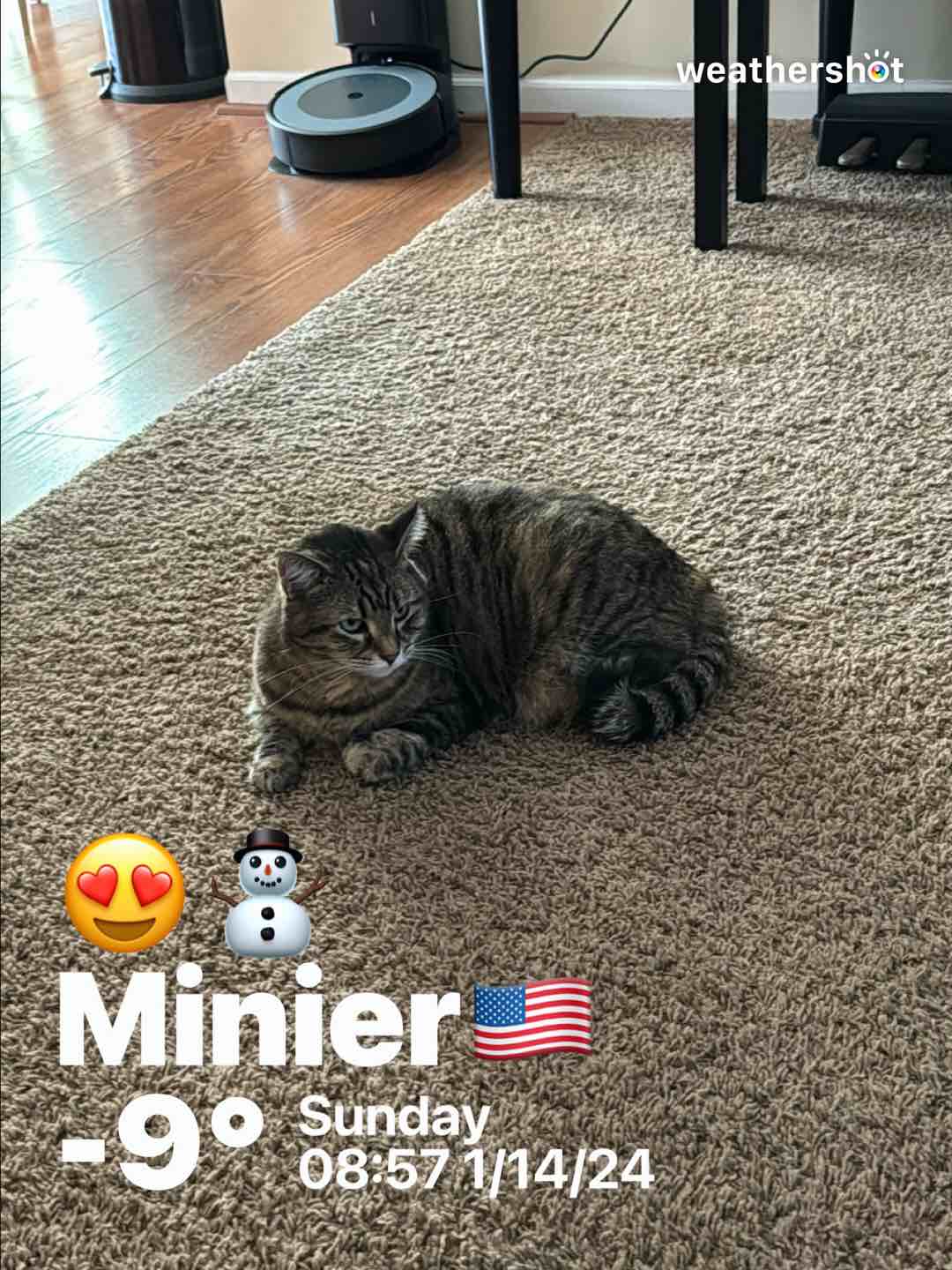 Clear weather in Minier, -9°F — January 14, 2024 (community photo)