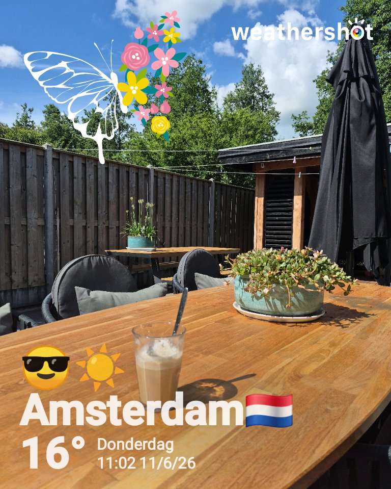 Clear weather in Amsterdam, 16°C — June 11, 2026 (community photo)