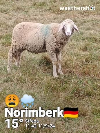 Weather in Nürnberg — September 11, 2024 (community photo)
