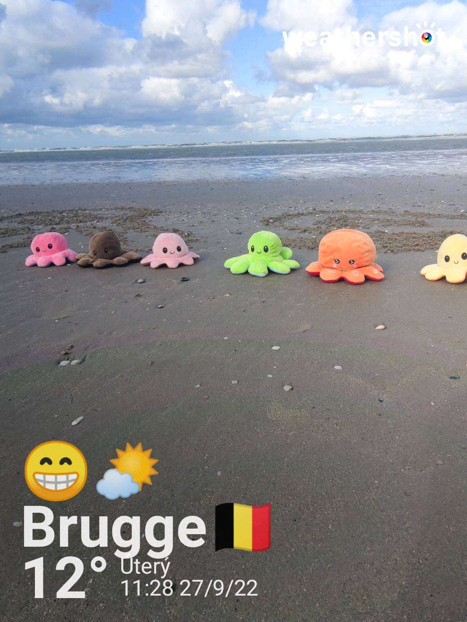 Weather in Brugge — September 27, 2022 (community photo)