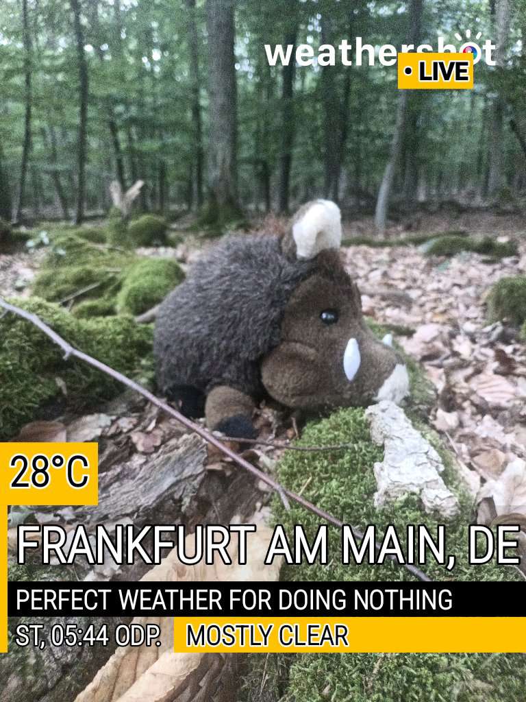 Clear weather in Frankfurt am Main, 28°C — August 27, 2025 (community photo)