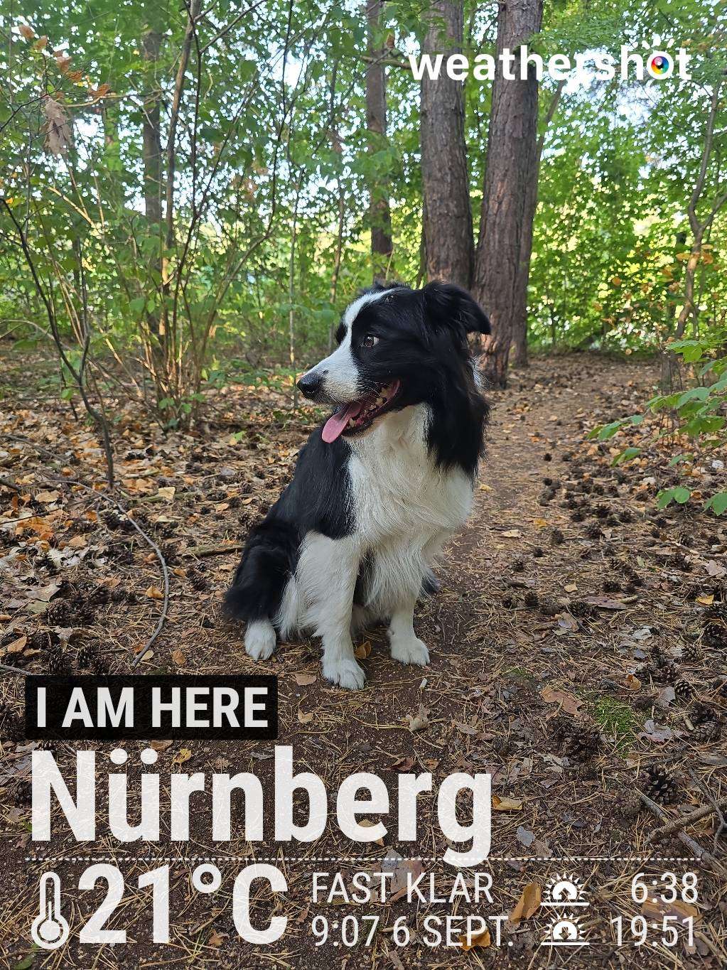 Clear weather in Nürnberg, 21°C — September 6, 2024 (community photo)
