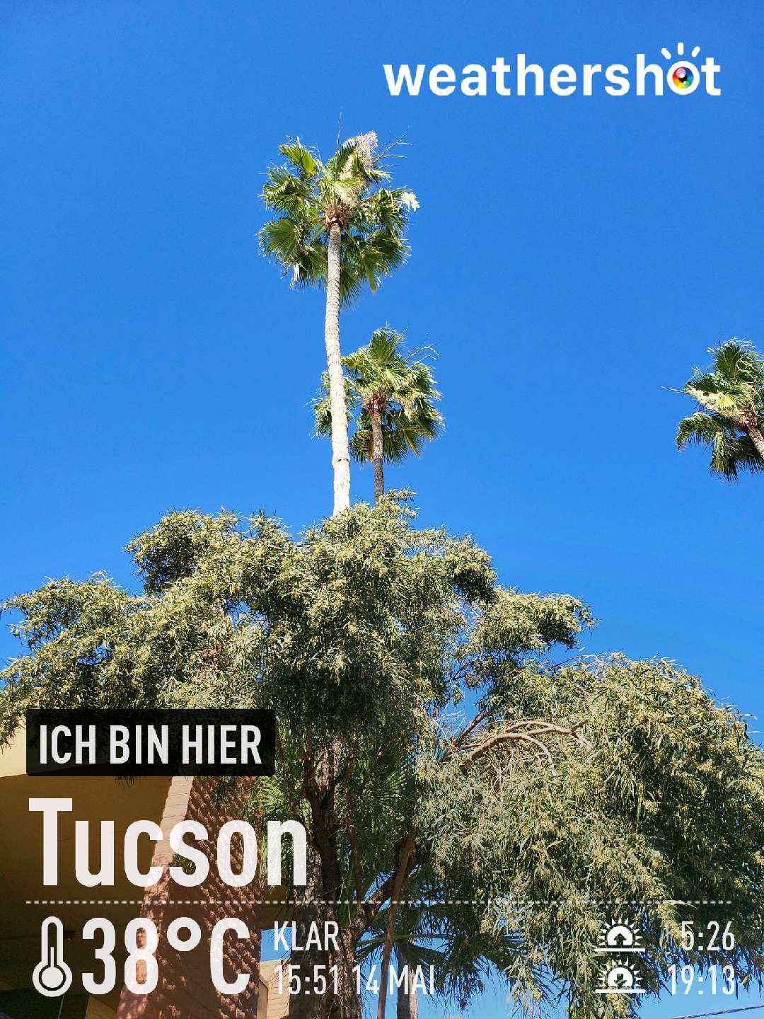 Sunny weather in Tucson, 100°F — May 14, 2022 (community photo)
