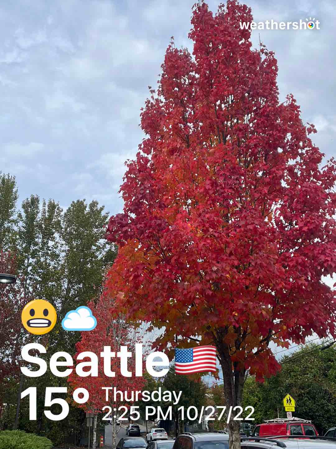 Cloudy weather in Seattle, 59°F — October 27, 2022 (community photo)