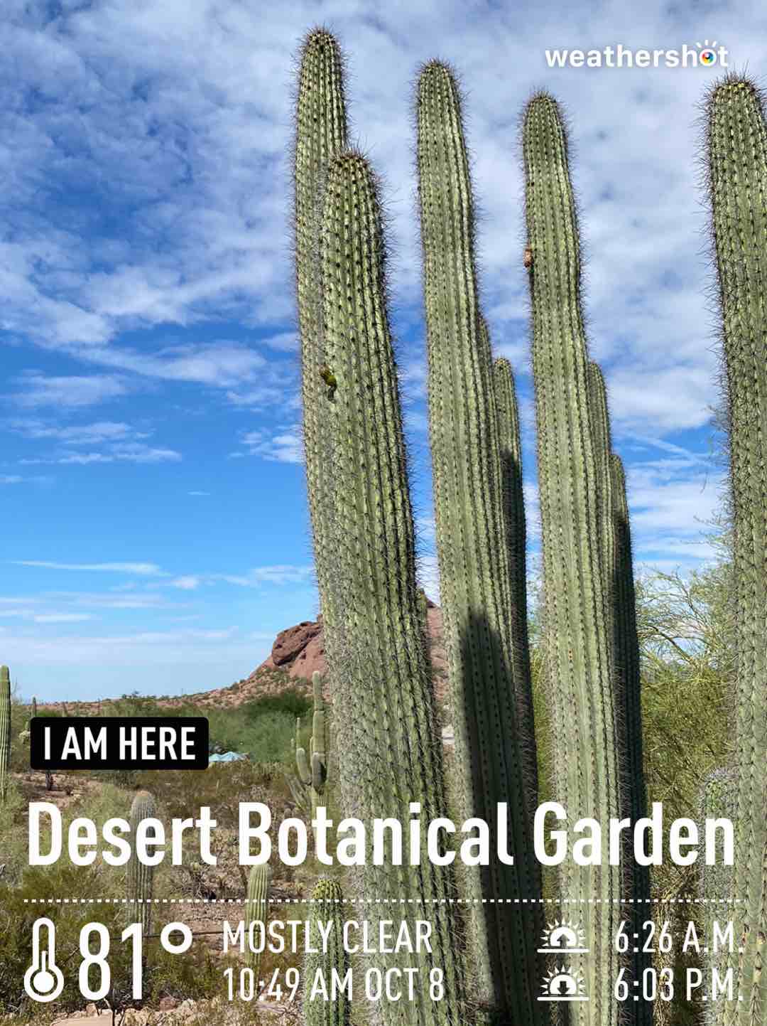 Weather in Phoenix, 81°F — October 8, 2022 (community photo)