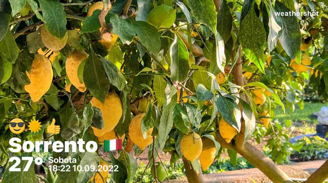 Sunny weather in Piano di Sorrento, 27°C — September 11, 2022 (community photo)
