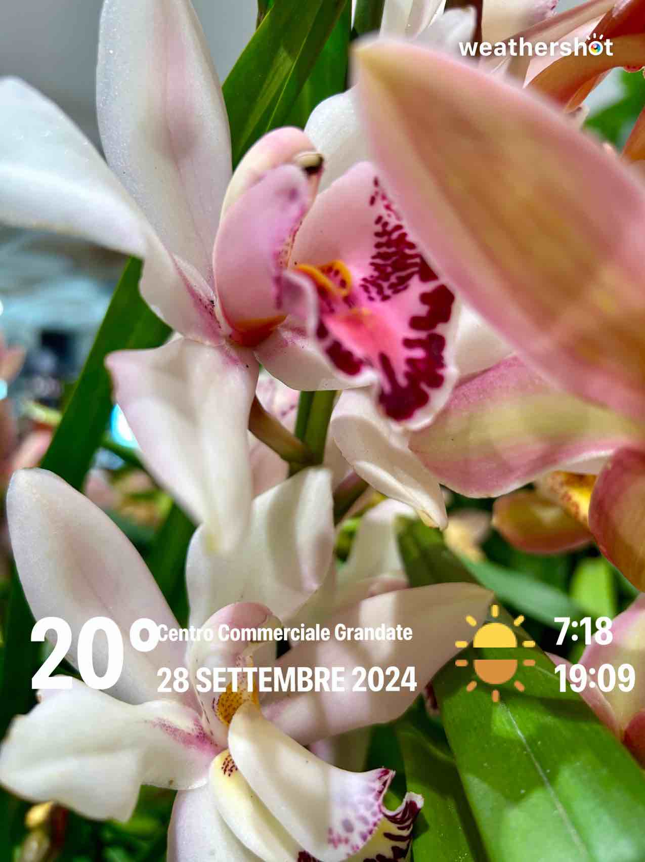 Clear weather in Grandate, 20°C — September 28, 2024 (community photo)