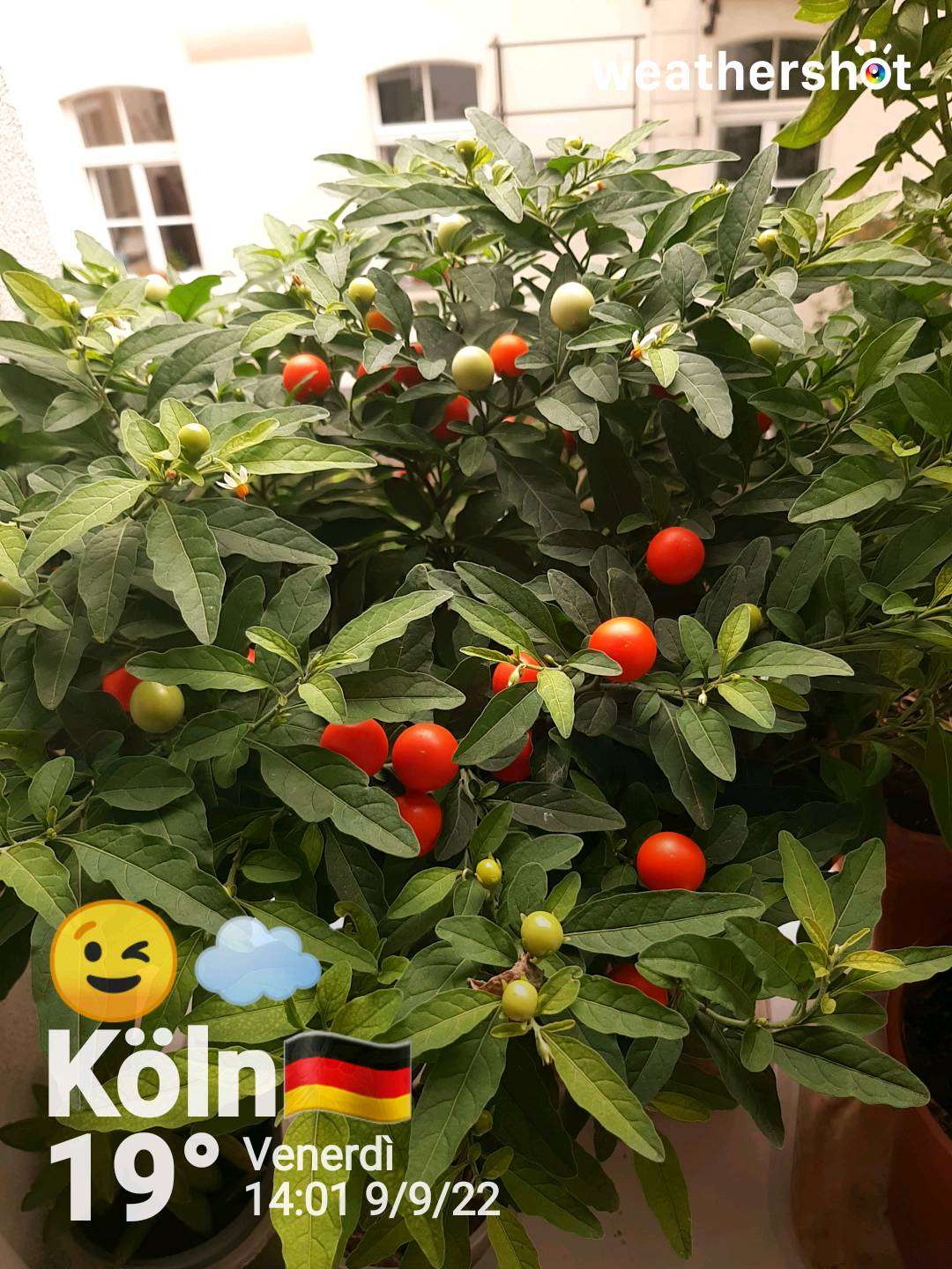 Cloudy weather in Köln, 19°C — September 9, 2022 (community photo)