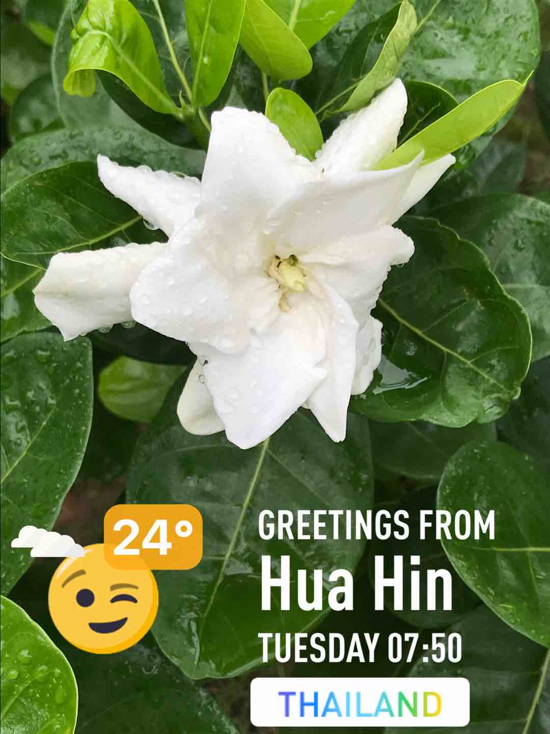 Cloudy weather in Tambon Hin Lek Fai, 24°C — September 21, 2021 (community photo)