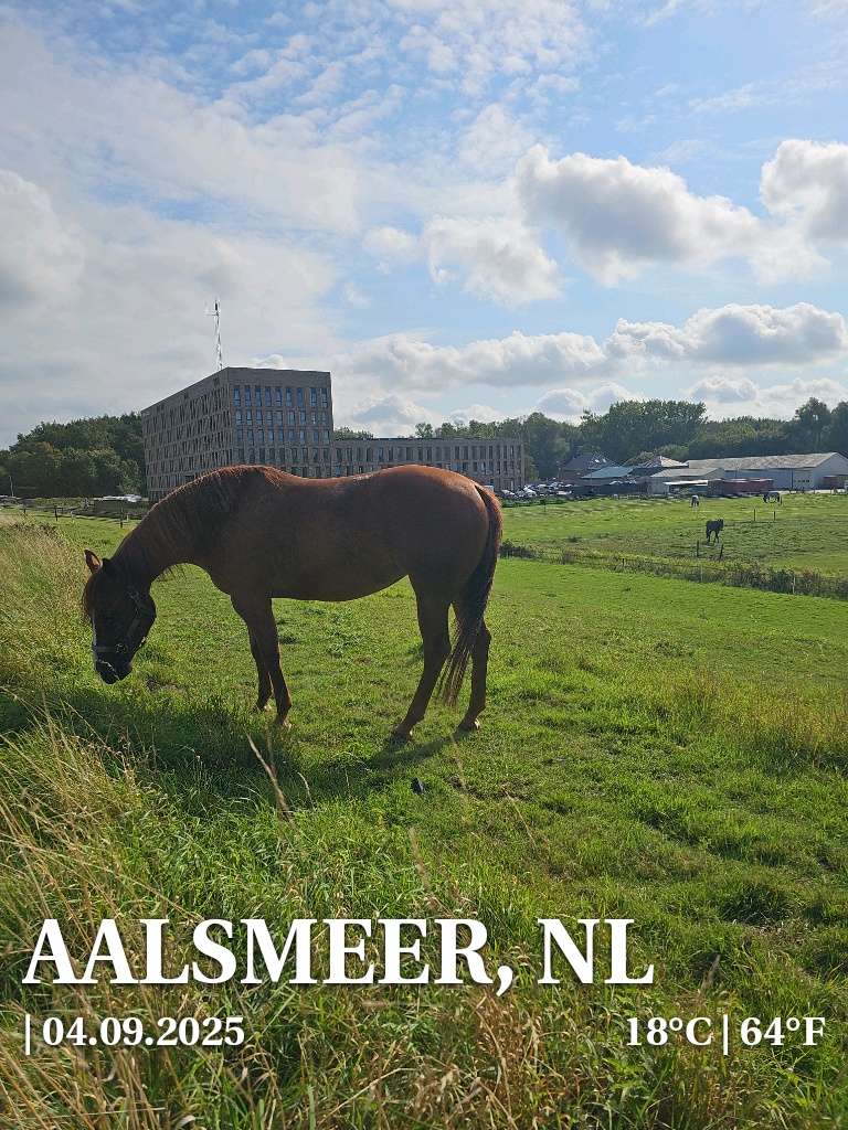 Cloudy weather in Aalsmeer, 18°C — September 4, 2025 (community photo)