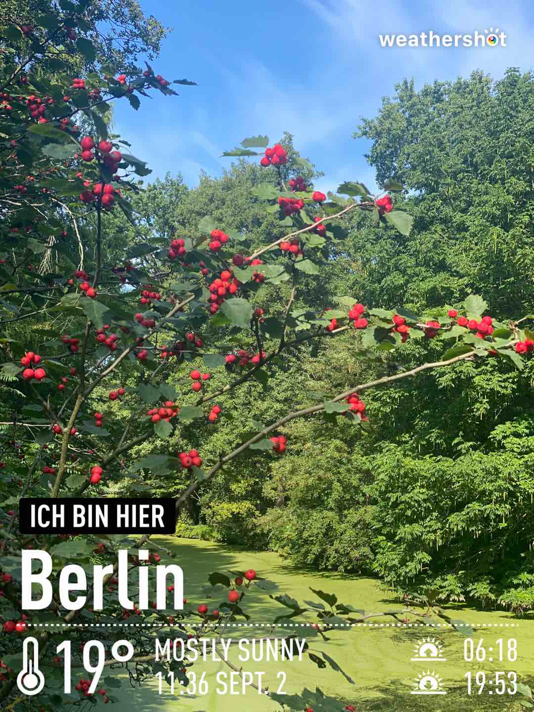 Weather near Berlin, 19°C — September 2, 2023 (community photo)