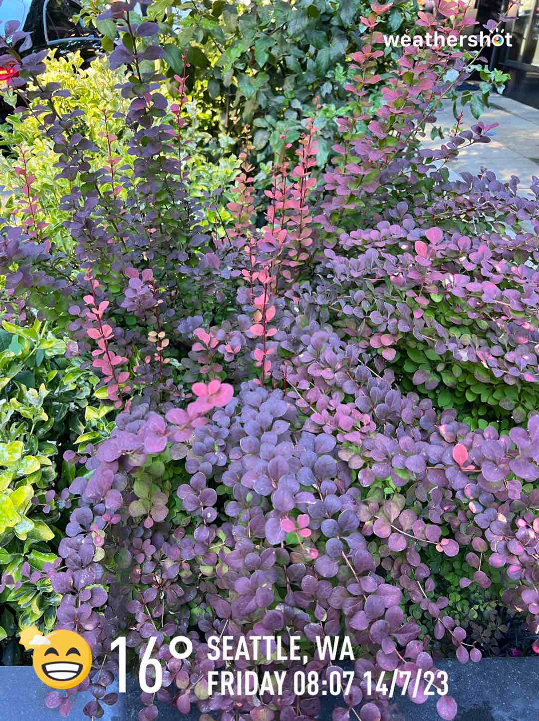 Partly cloudy weather in Seattle, 61°F — July 14, 2023 (community photo)