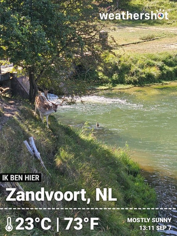 Clear weather in Bentveld, 23°C — September 7, 2025 (community photo)