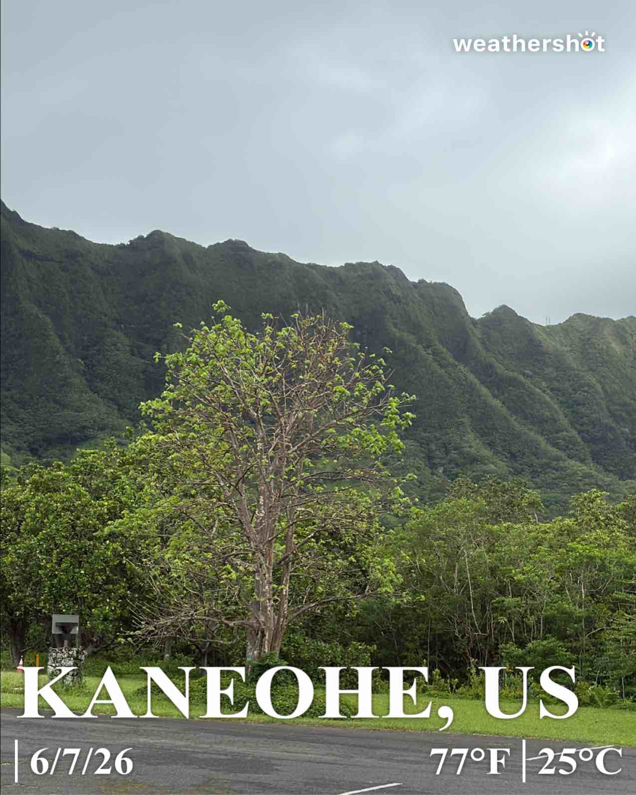 Cloudy weather in Kaneohe, 77°F — June 7, 2026 (community photo)