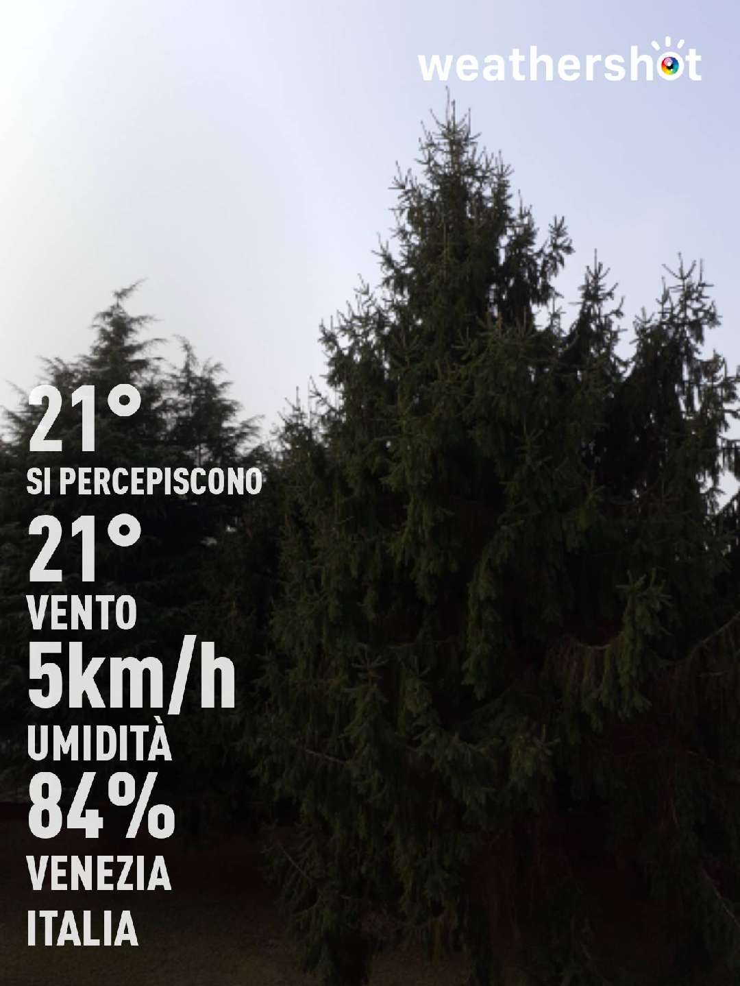 Clear weather in Venezia, 21°C — September 26, 2021 (community photo)