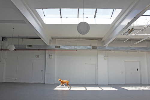Sanders Studios 3 photo 22