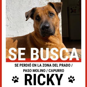 Ricky 
