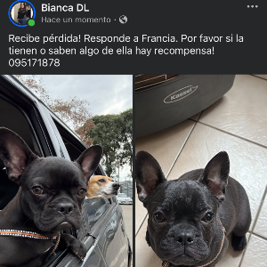 Bianca Milagros De León Curbelo