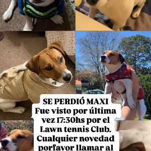 Maxi