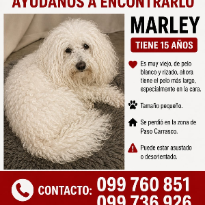 Marley